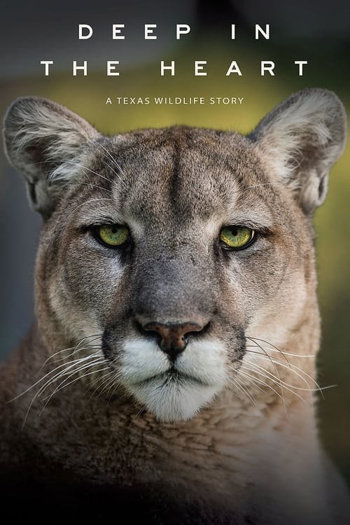 در اعماق قلب: داستانی از حیات وحش تگزاس